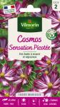 Fleurs - Cosmos Picotée - PACKAGING_RECTO
